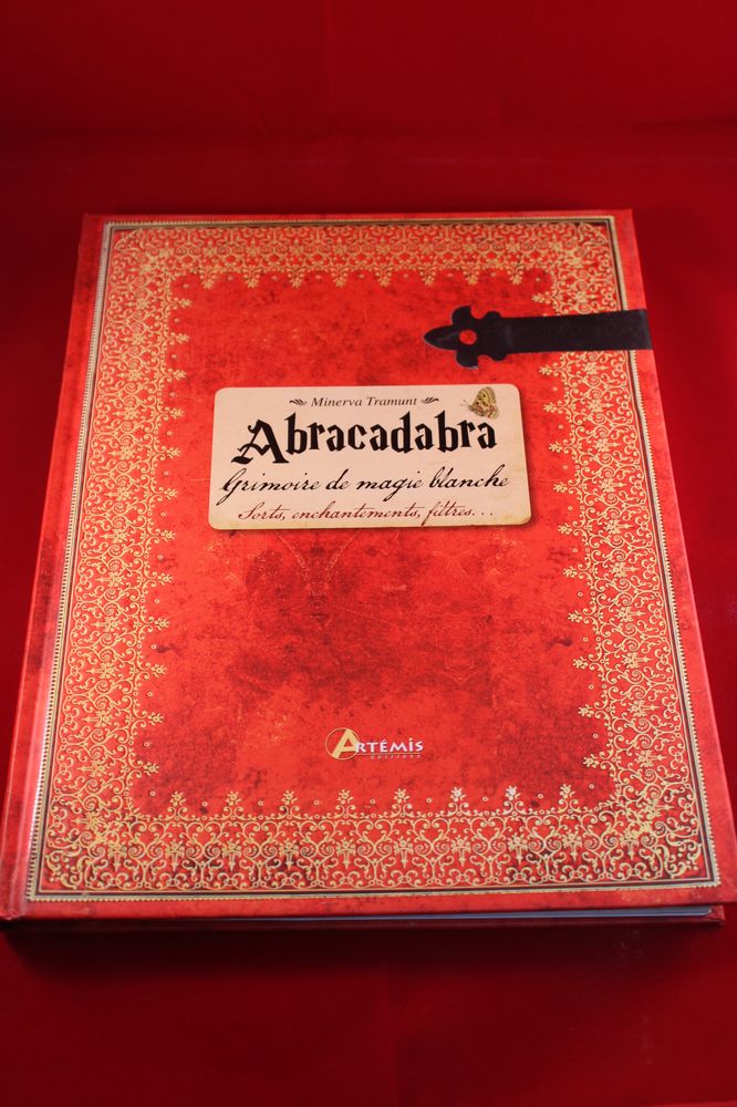 Livre “Abracadabra” vendu dans la boutique Pikottine à Montréal